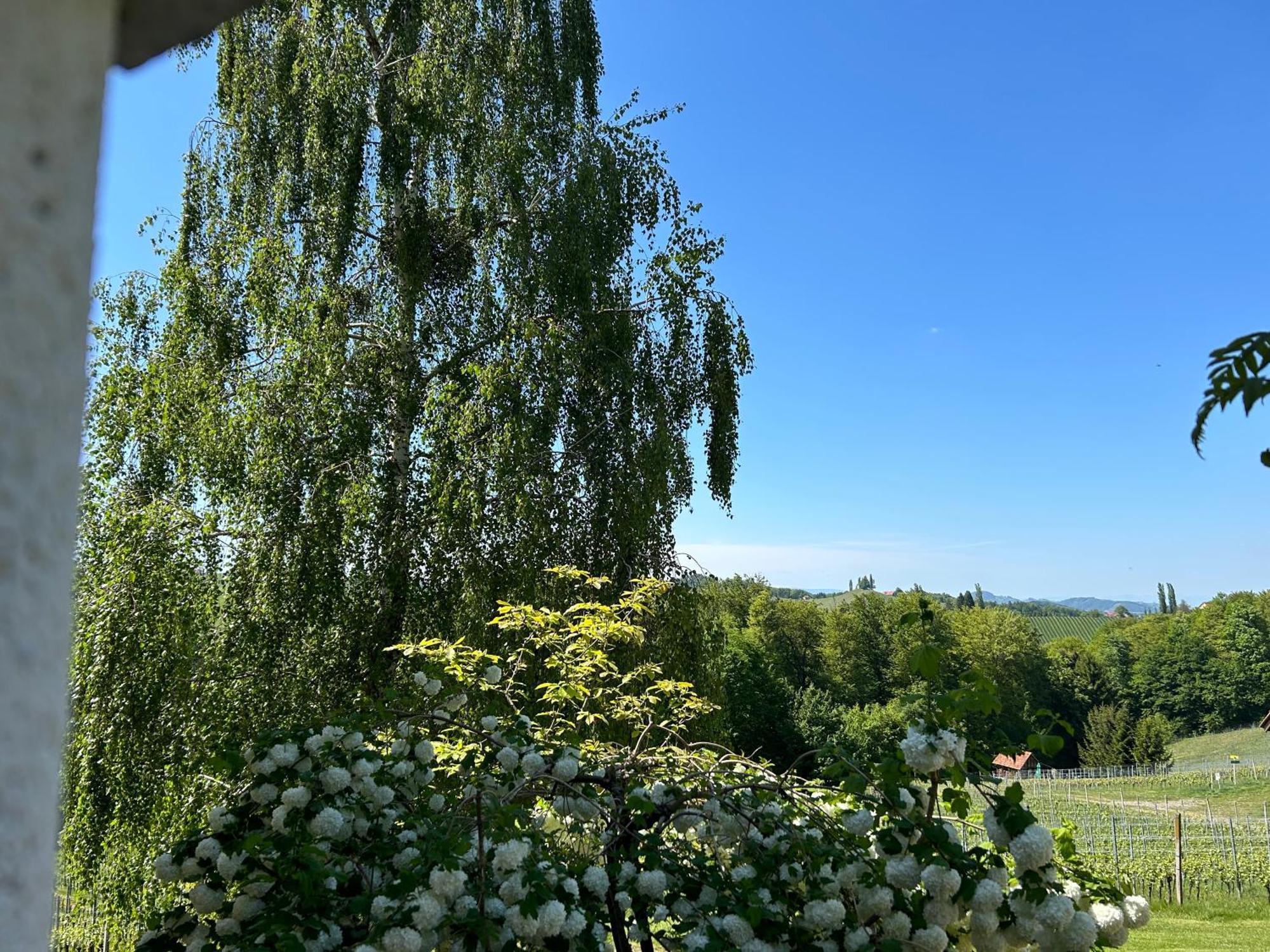Haus-Eckberg 101 Hotell Gamlitz Exteriör bild